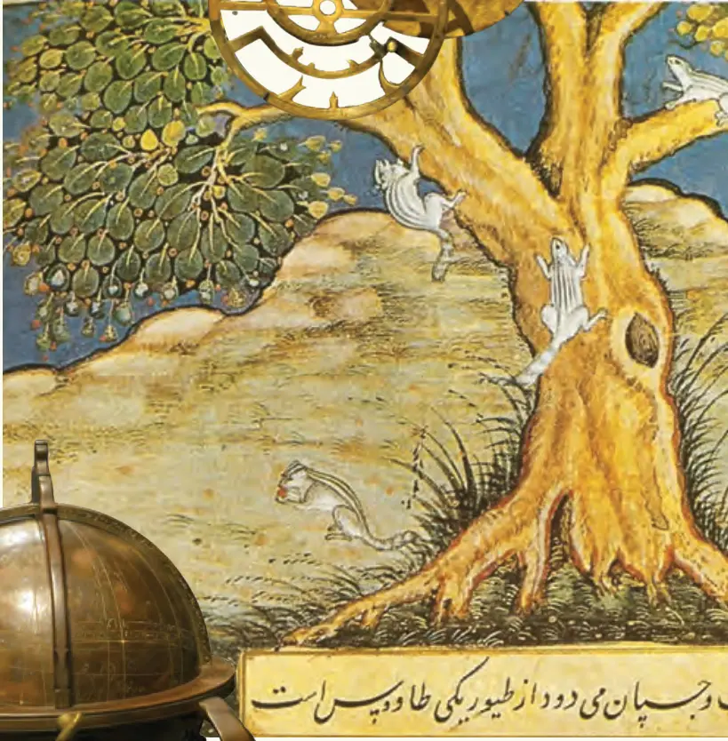 Published image from page 290 of The Natural World of The Mughals