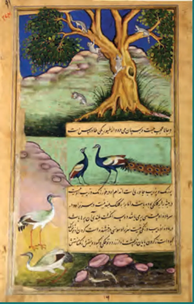Published image from page 293 of The Natural World of The Mughals