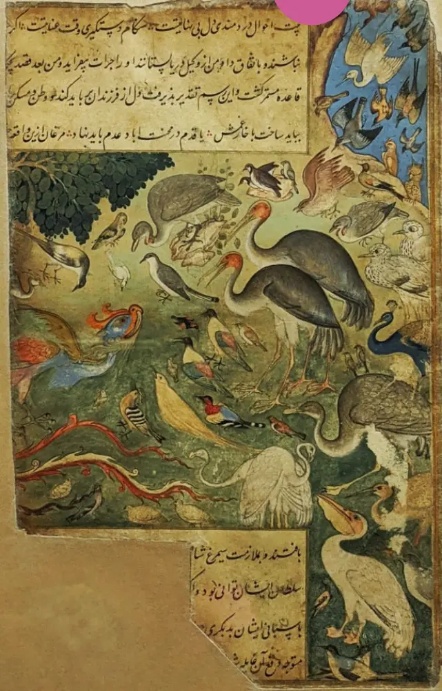 Published image from page 109 of Birdspotting: Gliding Through Indian Visual Culture