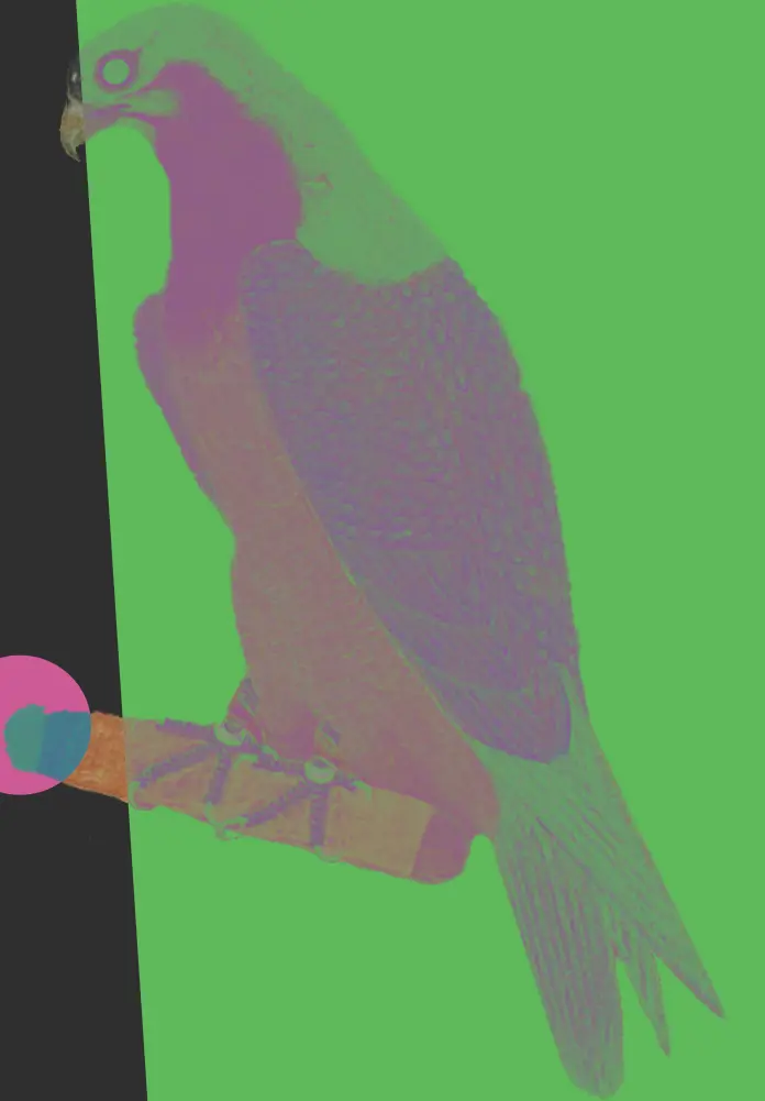 Published image from page 110 of Birdspotting: Gliding Through Indian Visual Culture