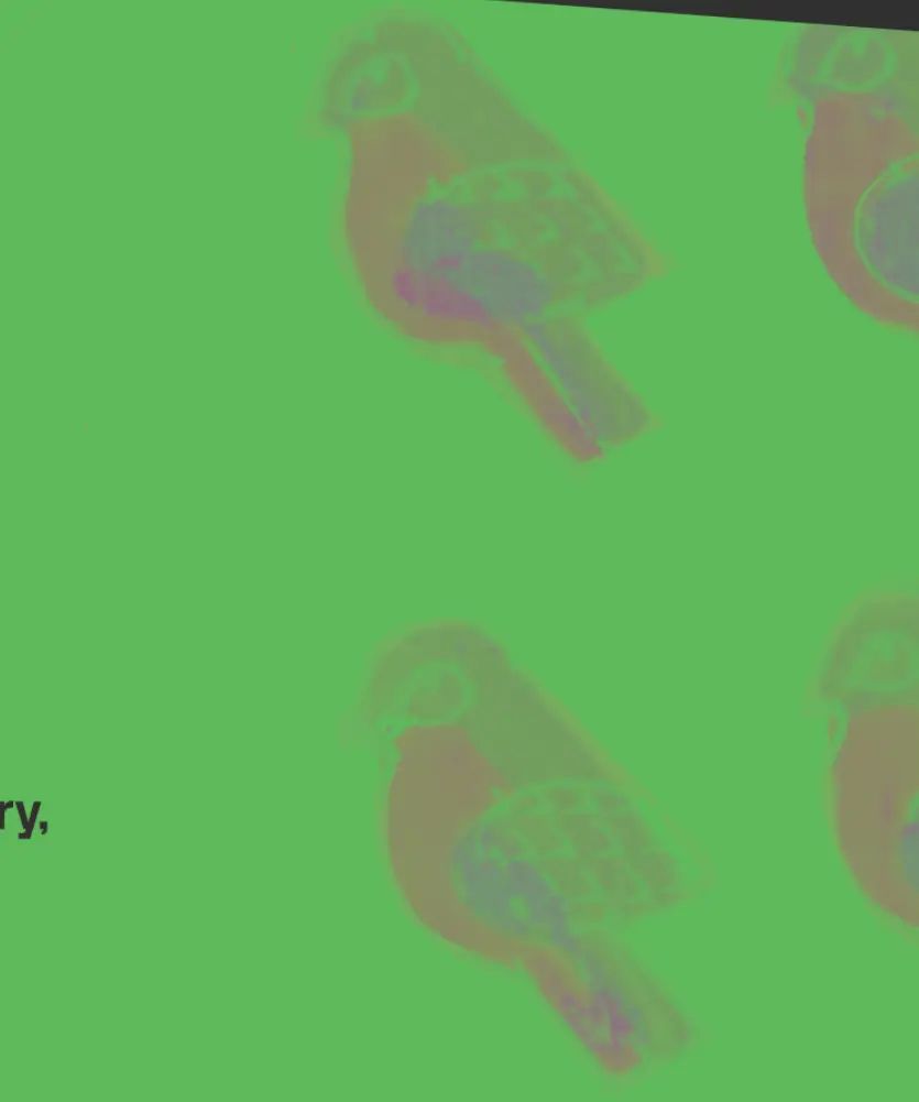 Published image from page 118 of Birdspotting: Gliding Through Indian Visual Culture