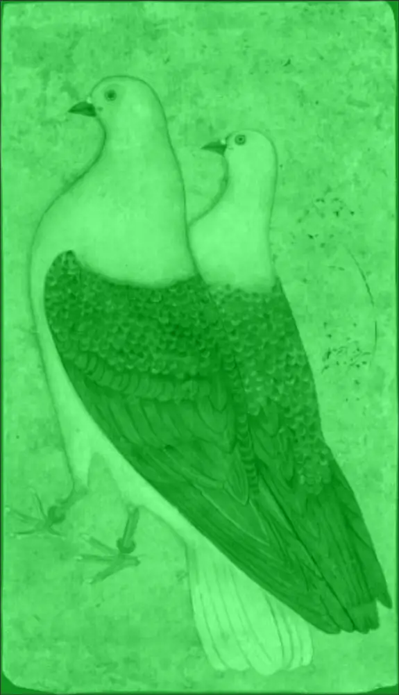 Published image from page 119 of Birdspotting: Gliding Through Indian Visual Culture