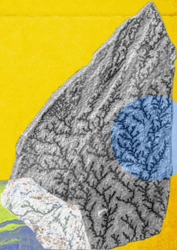 Published image from page 238 of The Museum Beyond The Museum