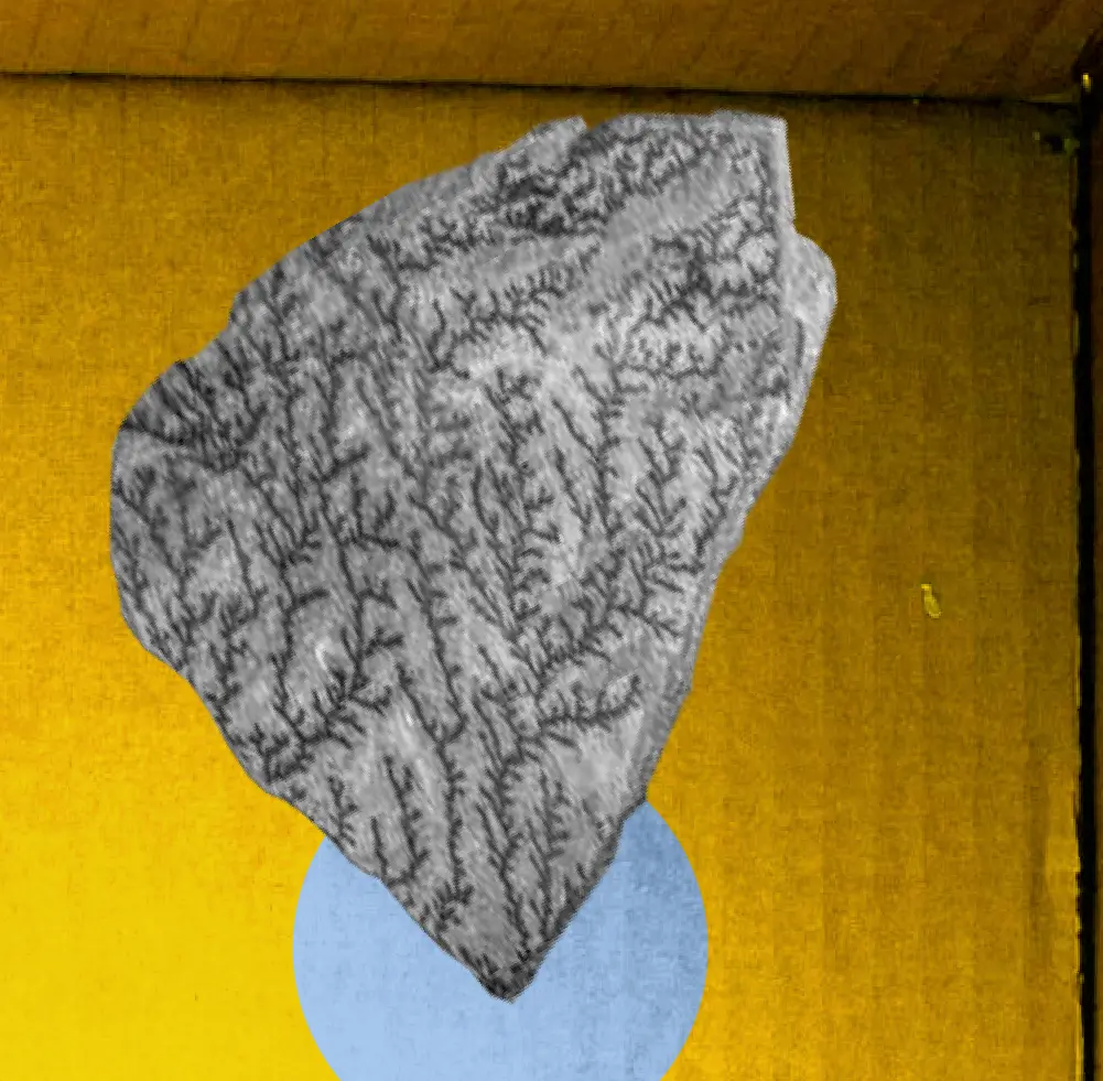 Published image from page 238 of The Museum Beyond The Museum