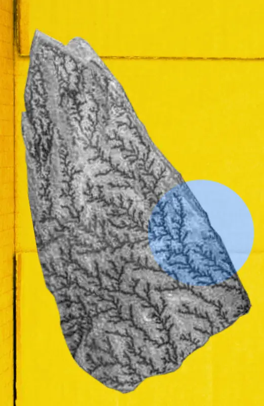 Illustration from The Museum Beyond The Museum