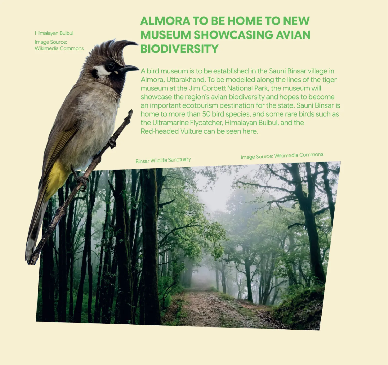 Published report: Almora to Be Home to New Museum Showcasing Avian Biodiversity