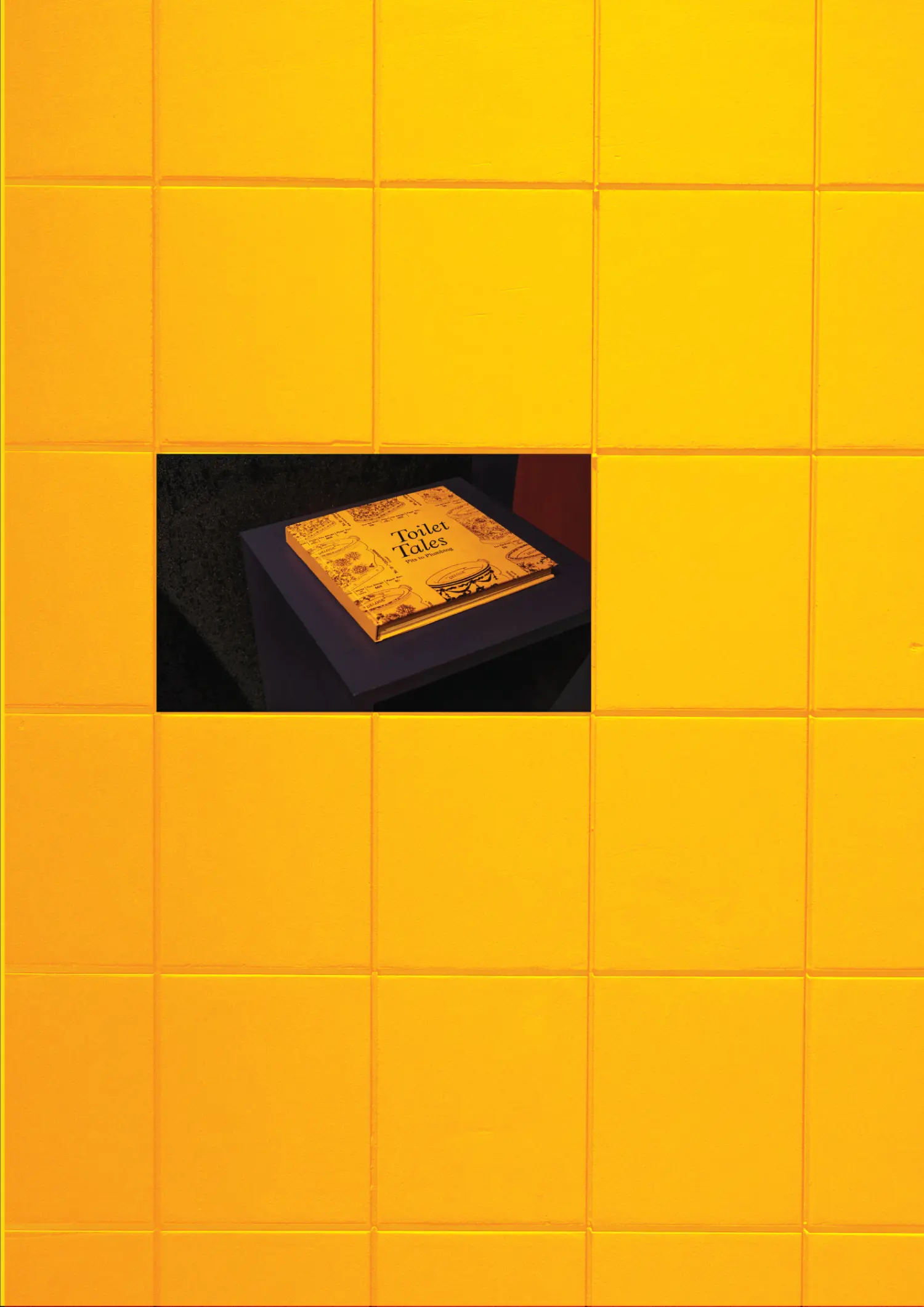 Published image from page 15 of Cultre Curates - Toilet Tales Gallery at the Sulabh International Museum of Toilets